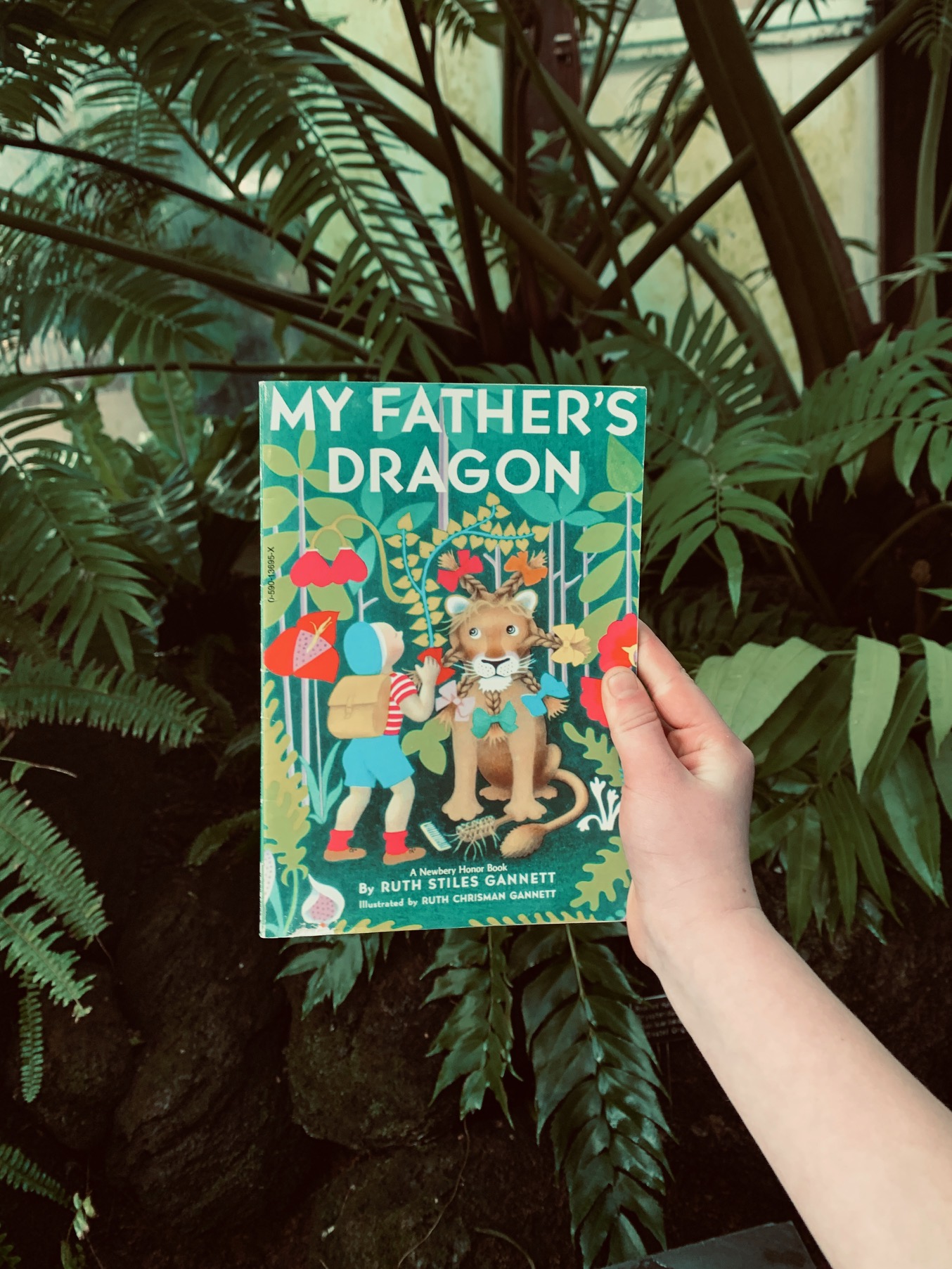 My Father’s Dragon: Book Club Field Trip
