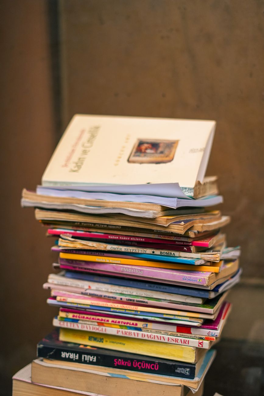 From Allegory to Meager Story: The Breakdown of Children’s Literature